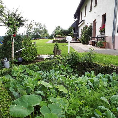 Ferienwohnung Huegelhaus Plütscheid Kültér fotó